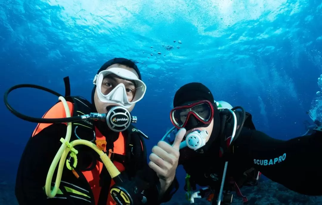 澎湖潛水: 興仁潛水 Fun Dive 休閒潛水・PADI潛水員課程