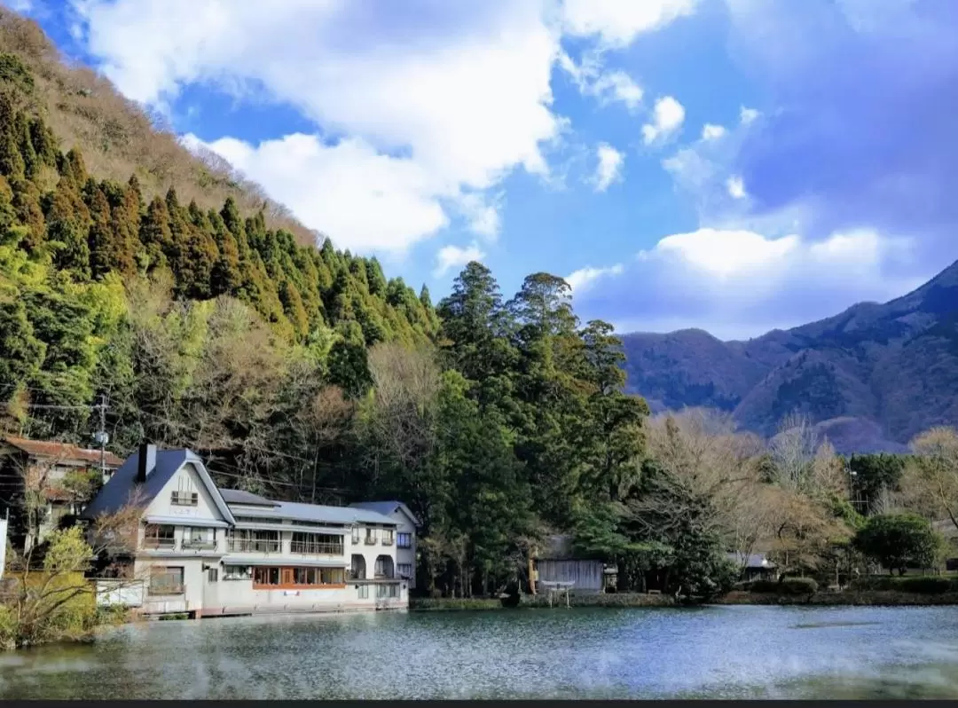 【九州私人一日遊】九州福岡 別府 大分 湯布院 行程自由搭配 包車遊