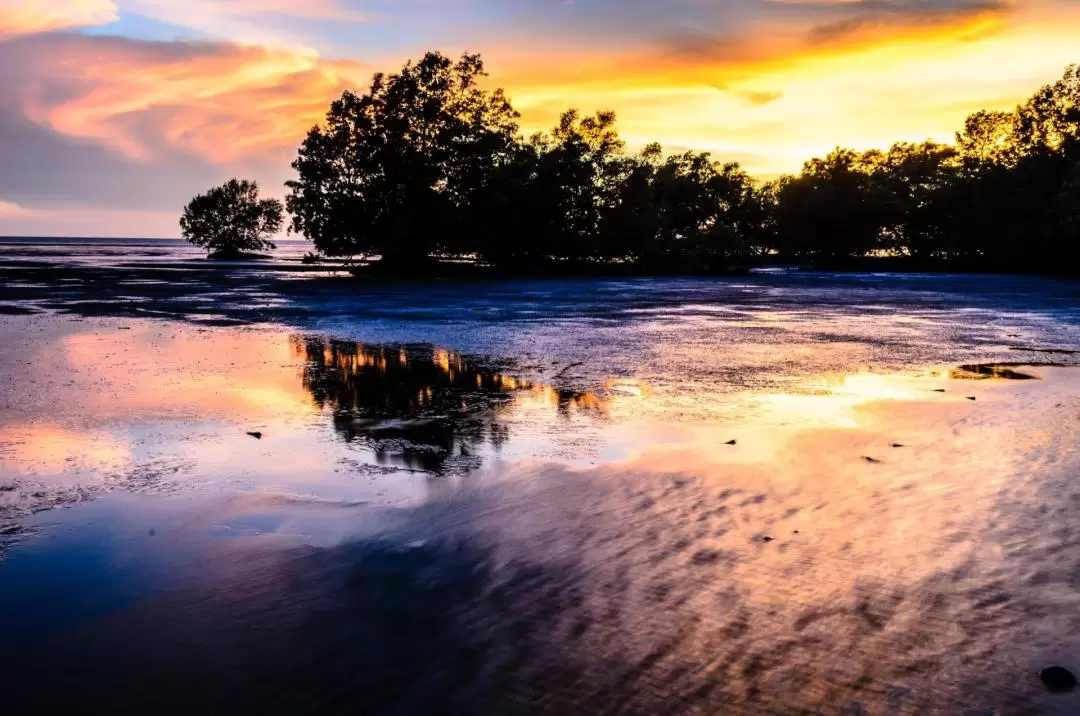 Kakadu National Park Day Tour and Cruise from Darwin