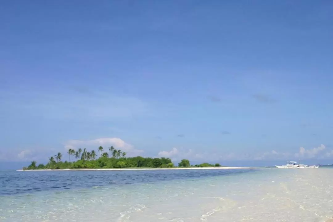 Panglao Island Hopping and Dolphin Watching Tour in Bohol