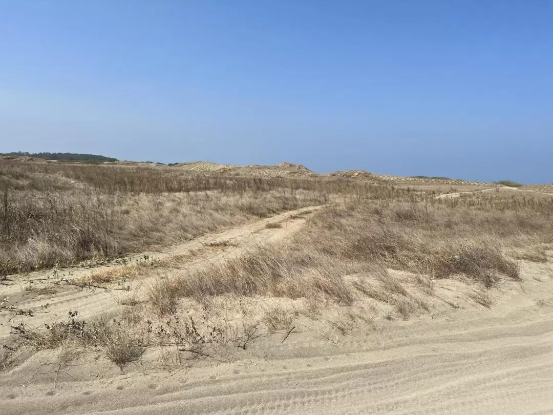 Ilocos Sand Dunes ATV Adventure