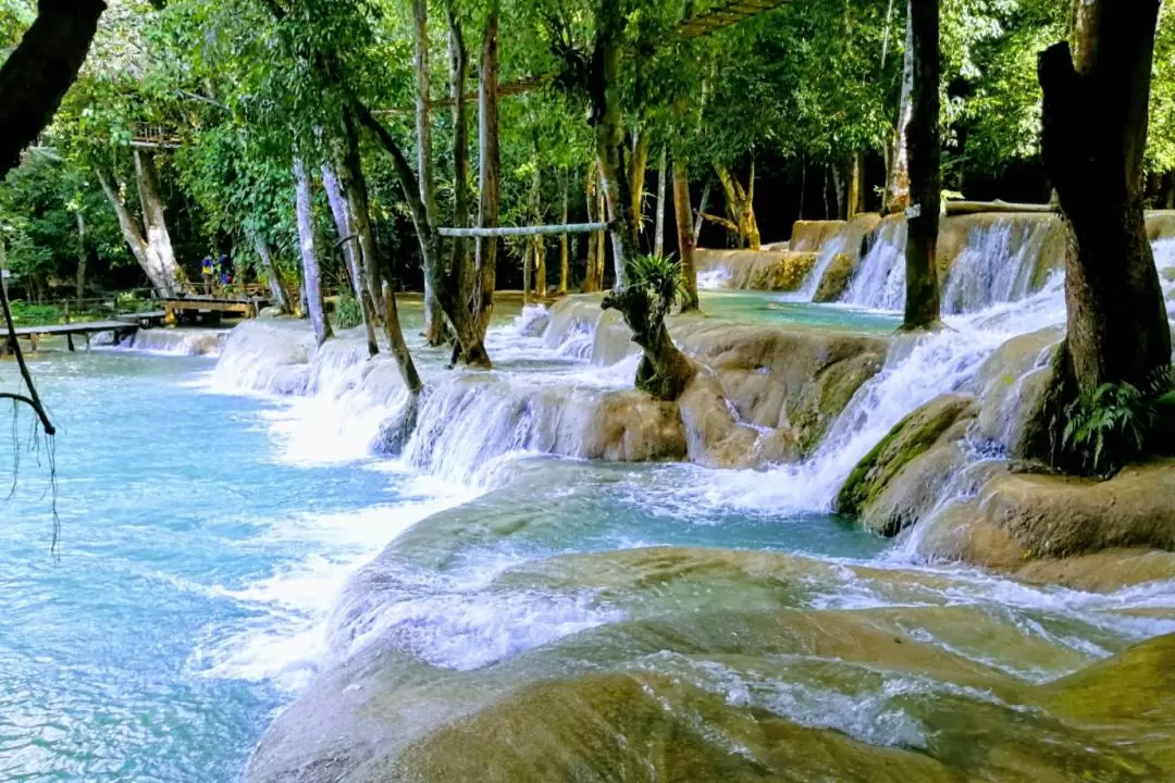 Tad Sae Waterfalls Bike and Kayak Join In Day Tour from Luang Prabang