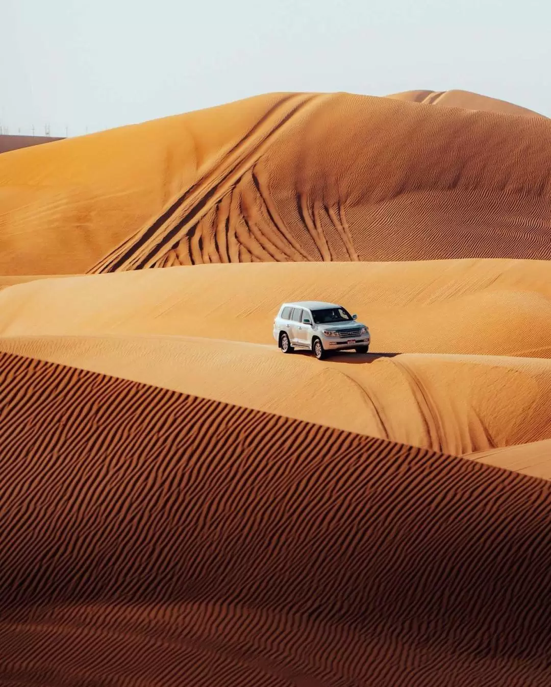 Evening Desert Safari Experience from Abu Dhabi