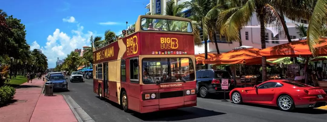 Miami Big Bus Hop-On Hop-Off Tours (Open-Top)