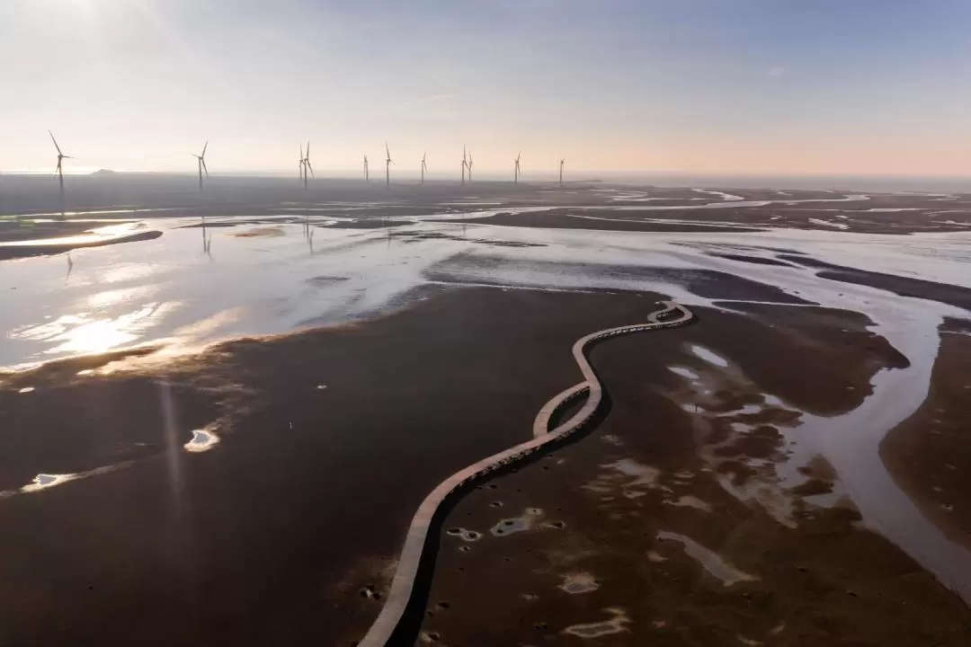 高美湿地・彩虹眷村 半日ツアー（台中発）