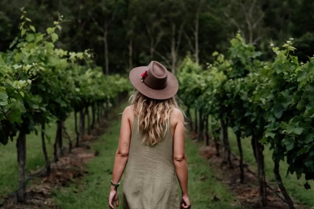 Luxury Winery Full Day Tour, with Lunch from Gold Coast