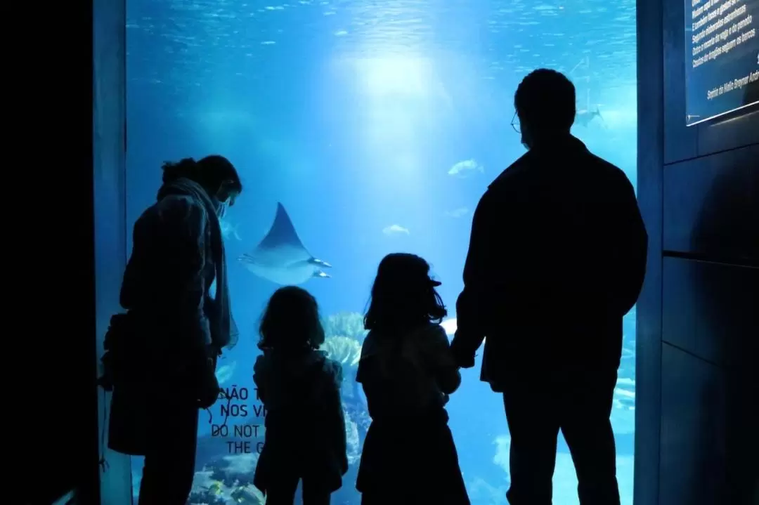 Oceanarium Aquarium Admission in Lisbon