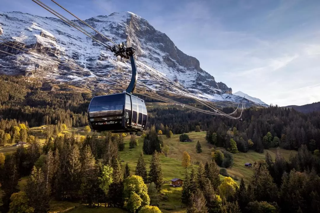 Jungfraujoch Top of Europe: Classic, Private & Multi-day Tours 