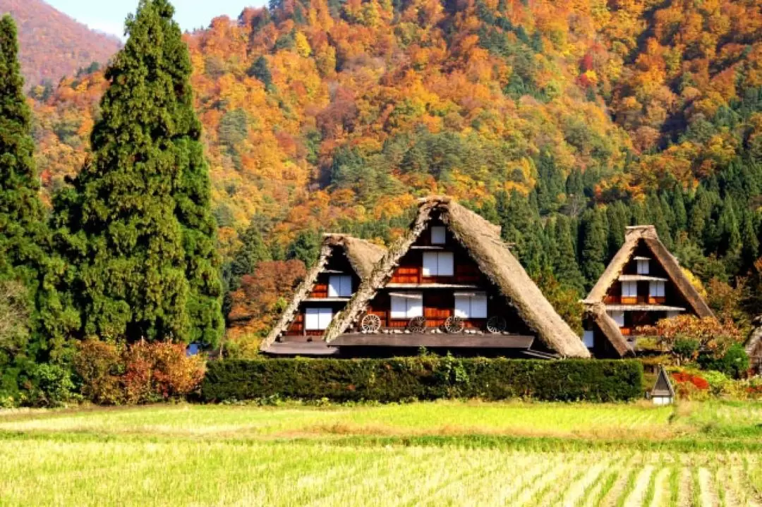 2D1N World Heritage Shirakawago & Kamikochi Tour from Tokyo