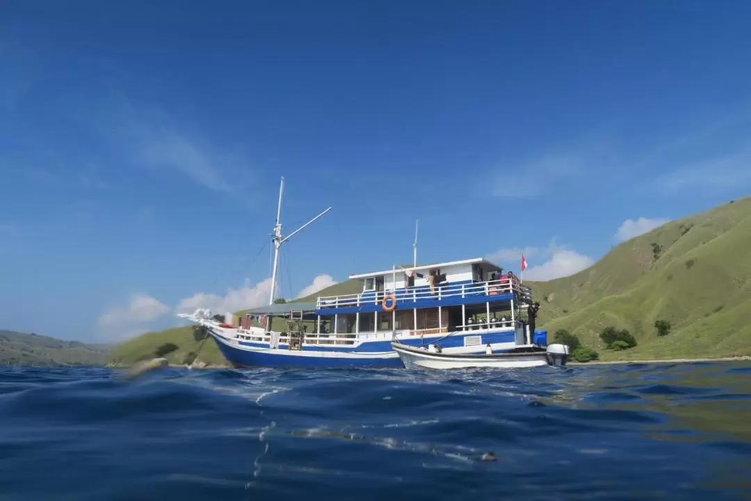 3-7 Days Liveaboard Dive Trip by Dive Komodo