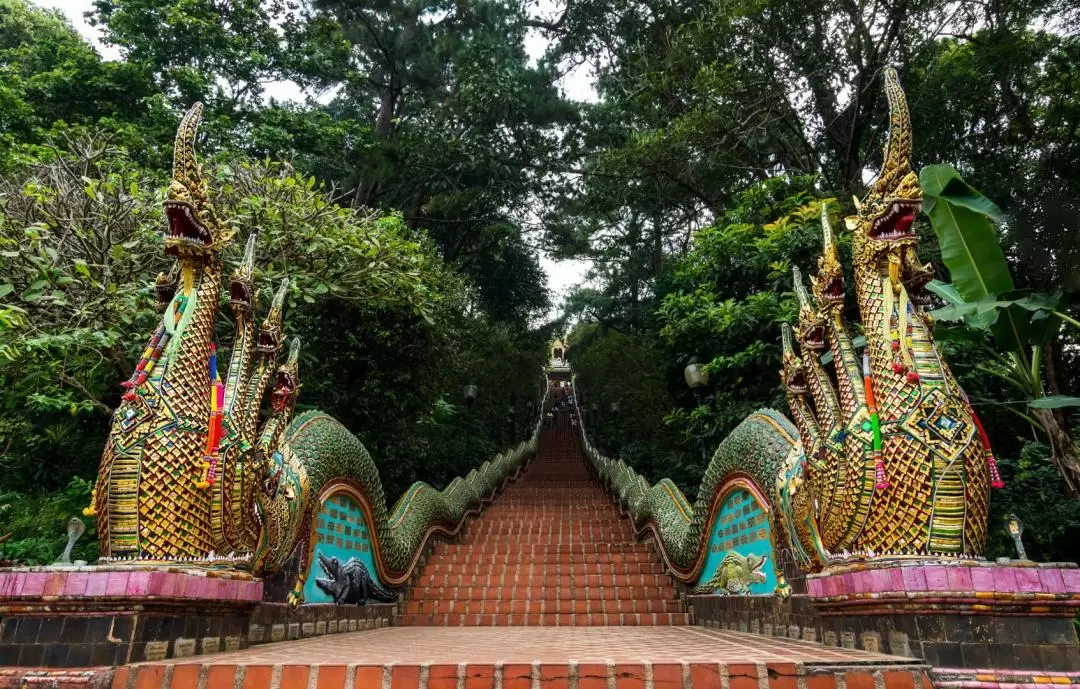 Doi Suthep and Wat Pha Lat Sunrise Tour – Half Day