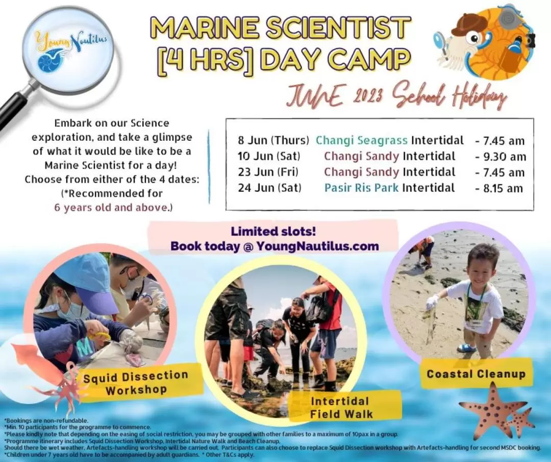 新加坡Marine Scientist Day Camp海洋營地體驗