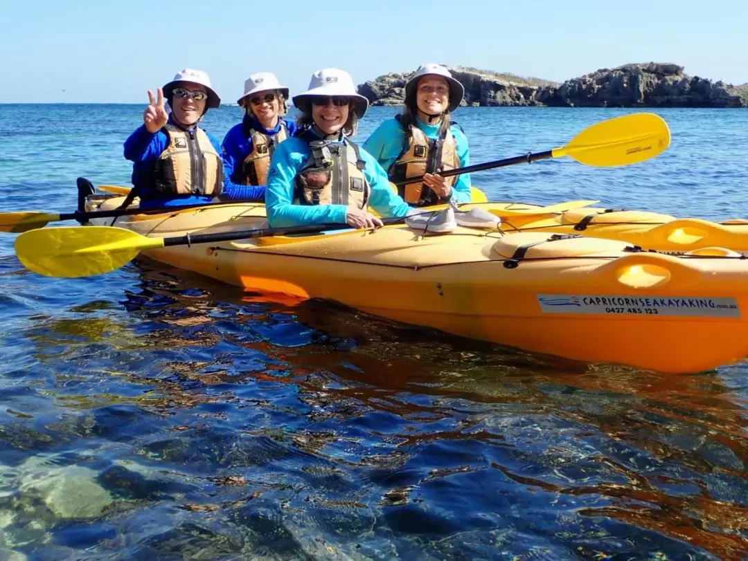 Penguin and Seal Island Sea Kayak Tour from Perth