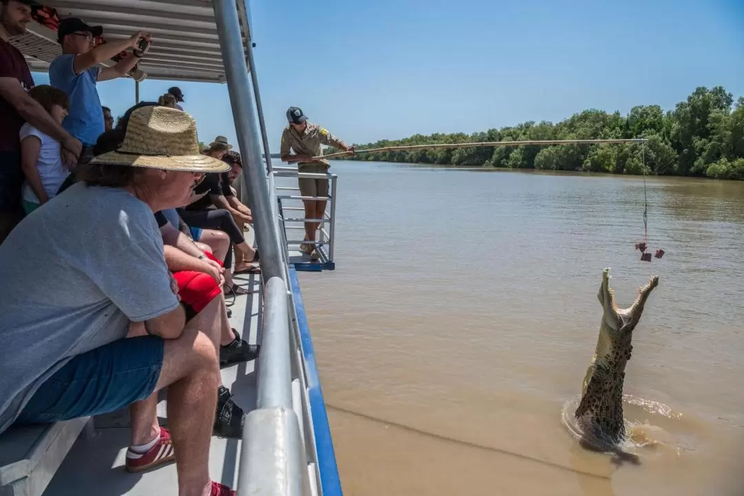 1-Hour Jumping Crocodile Cruise on the Adelaide River