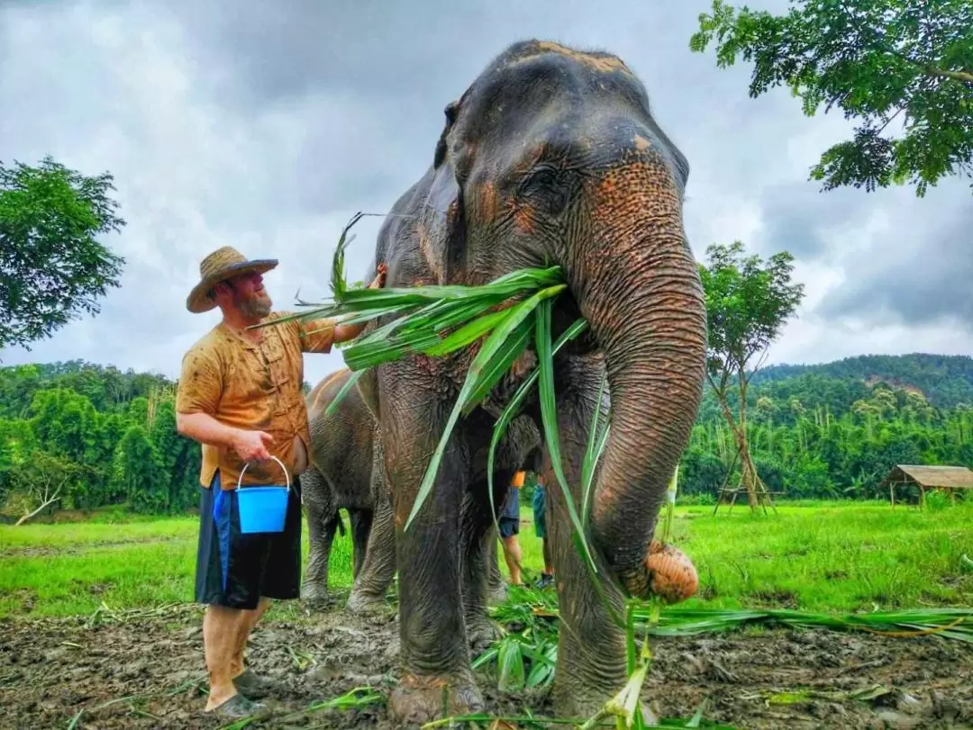 Lanna Kingdom Elephant Sanctuary small group Tour