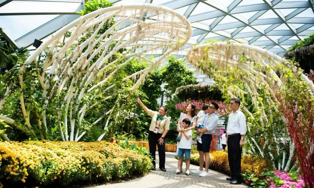 ジュエルチャンギエアポートツアー（シンガポール / チャンギ空港内）