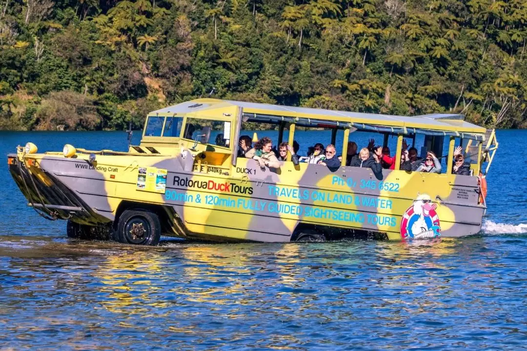 タラウェラ湖 水中バス観光ツアー（ロトルア発）