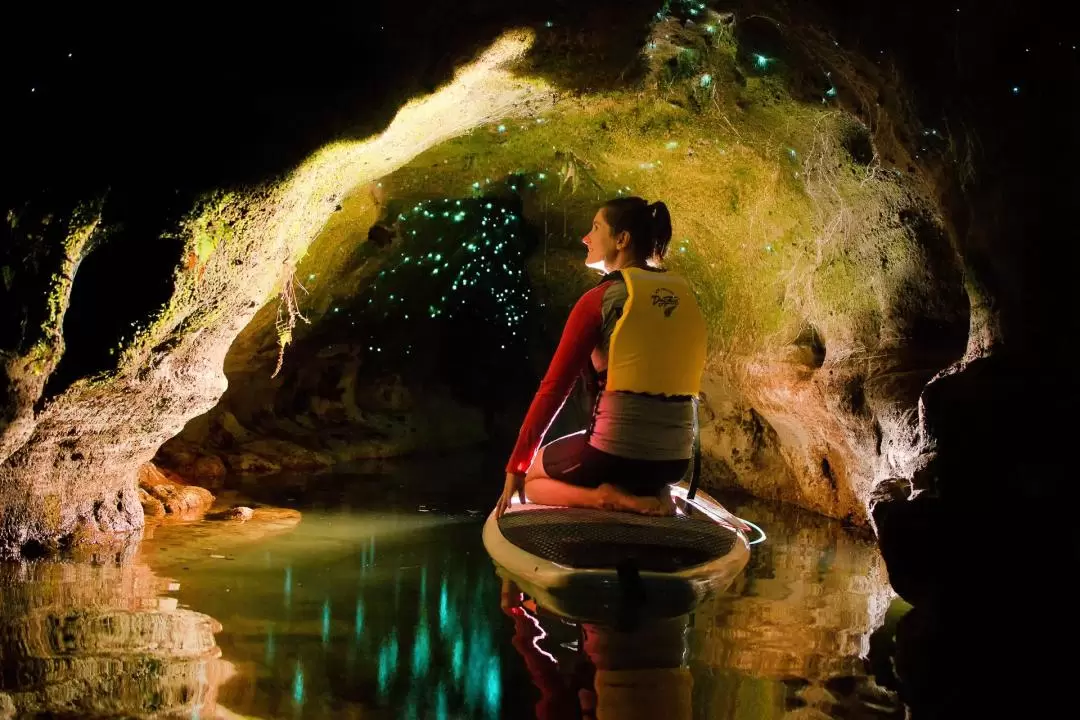 Twilight Paddle Board or Kayak the Glowworm Caves Rotorua