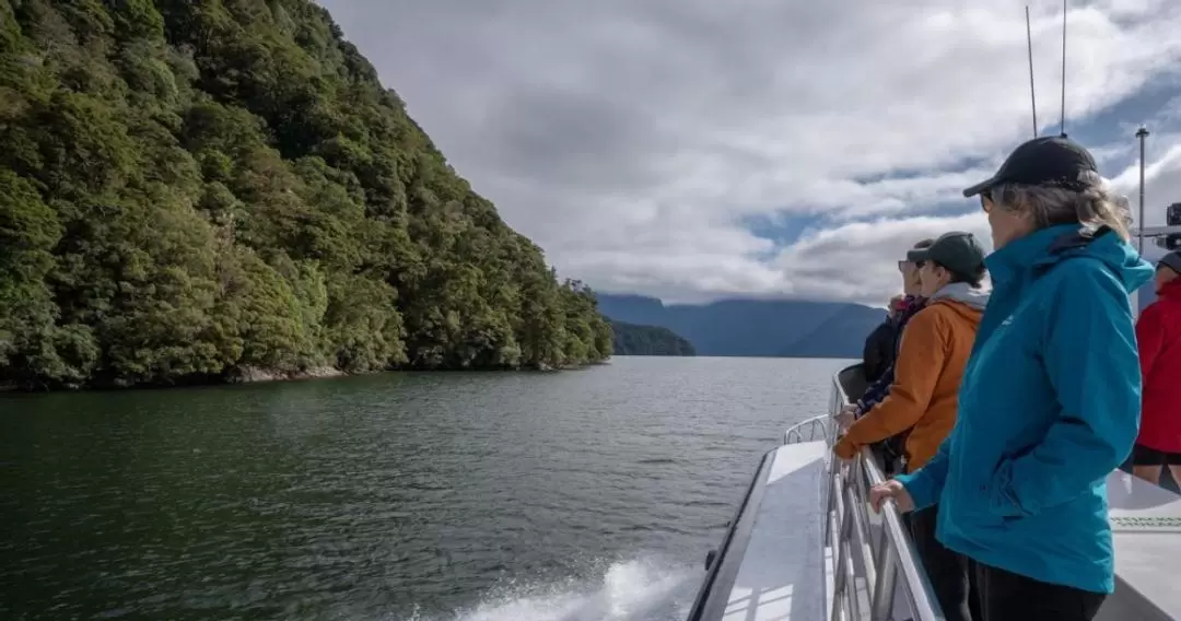 Milford Track Transfers from Queenstown and Te Anau