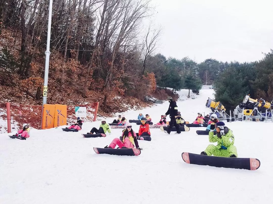 Vivaldi Park Ski Resort Ski & Snowboard Lesson Tour from Seoul