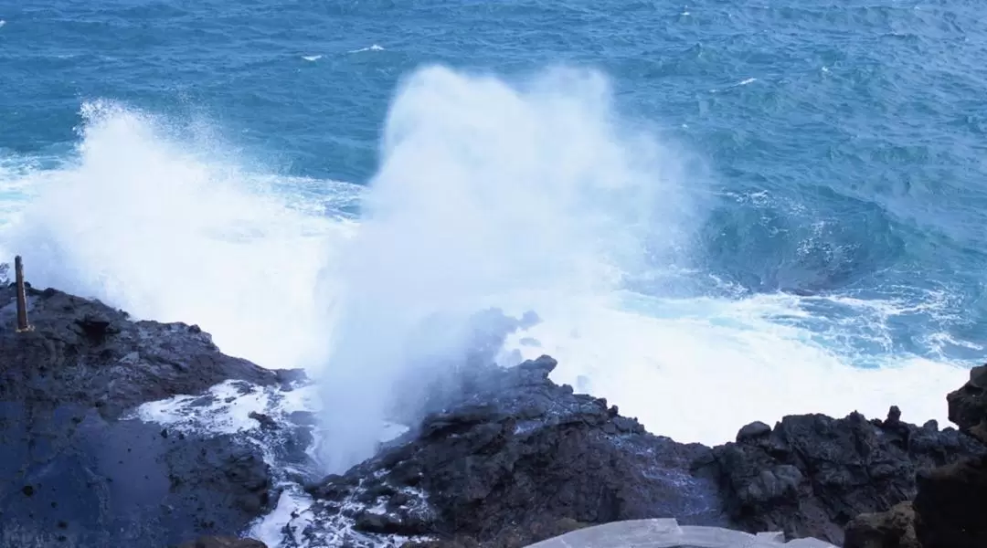 Oahu Grand Circle Island Tour 