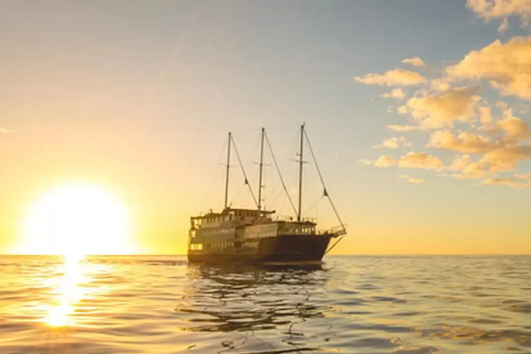 Milford Mariner Overnight Cruise and Kayak in Milford Sound