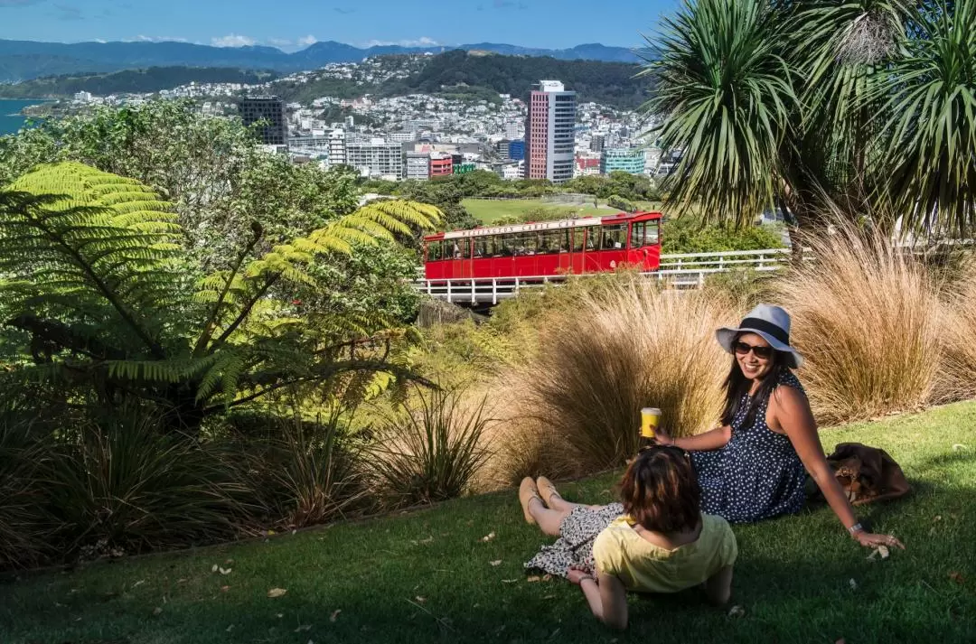 From Cave to Coast Wellington Highlights Tour