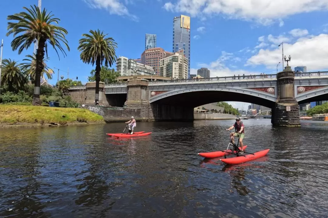 Yarra River Waterbike Experience in Melbourne