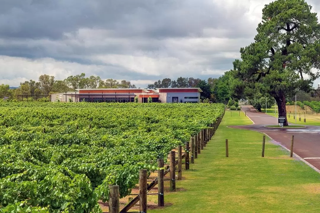 Interactive Wine Blending Experience at Mandoon Estate