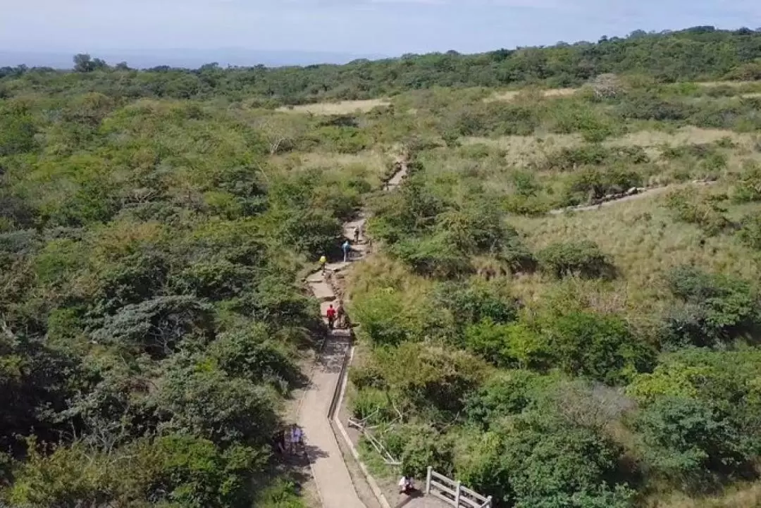 林孔德拉别哈火山徒步之旅