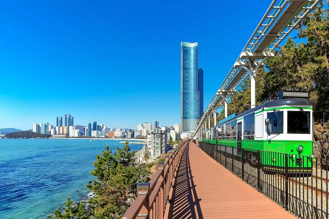 Busan Must-visit 1 Day Tour : Blue line Sky Capsule & Beach Train