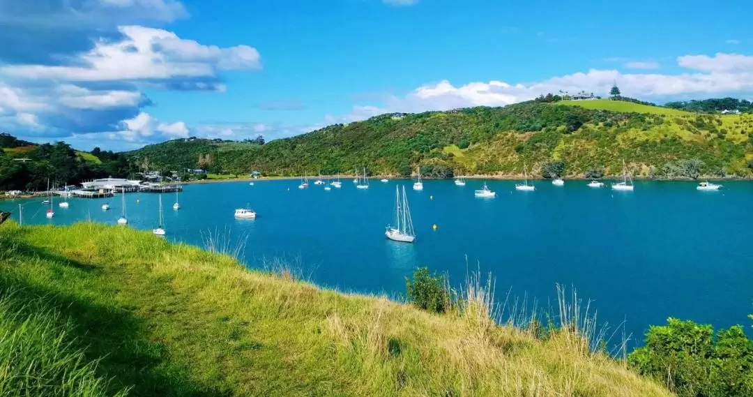 Waiheke Island Ferry from Auckland + Optional Hop On Hop Off Bus