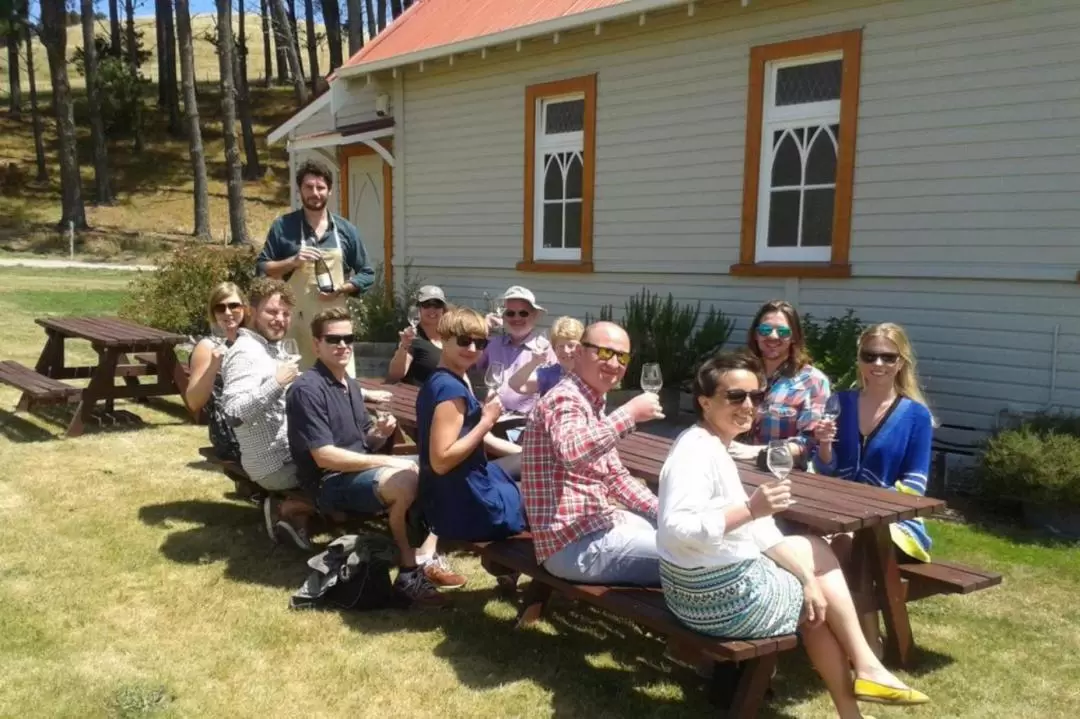 Marlborough Wine Day Tour 