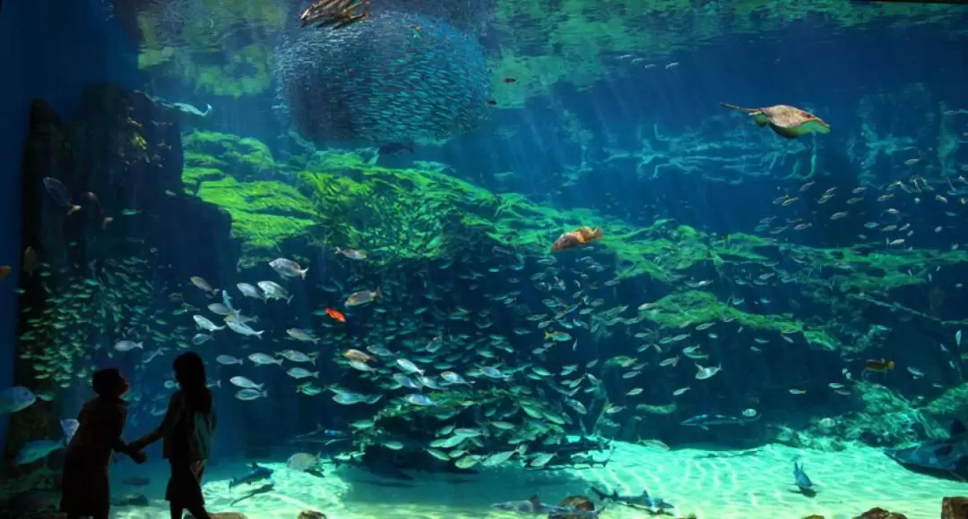 長崎九十九島水族館門票