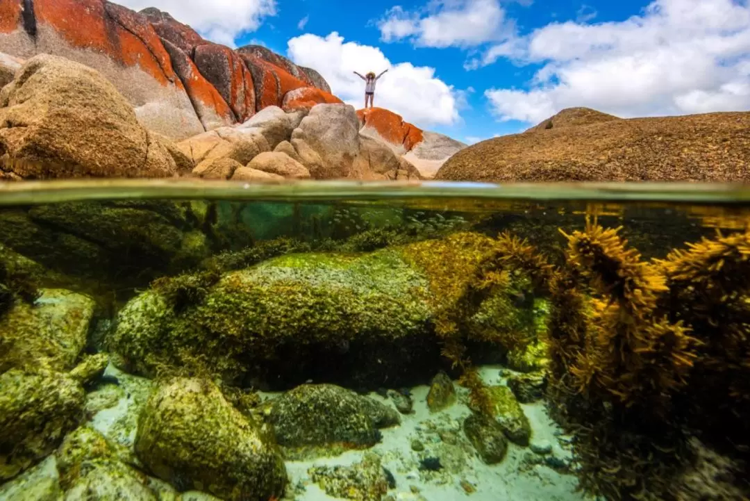 Bay of Fires Day Tour from Launceston