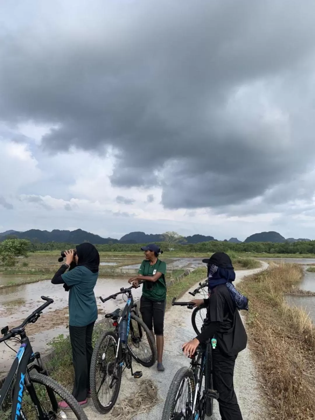 田園地方 サイクリングツアー（ランカウイ）