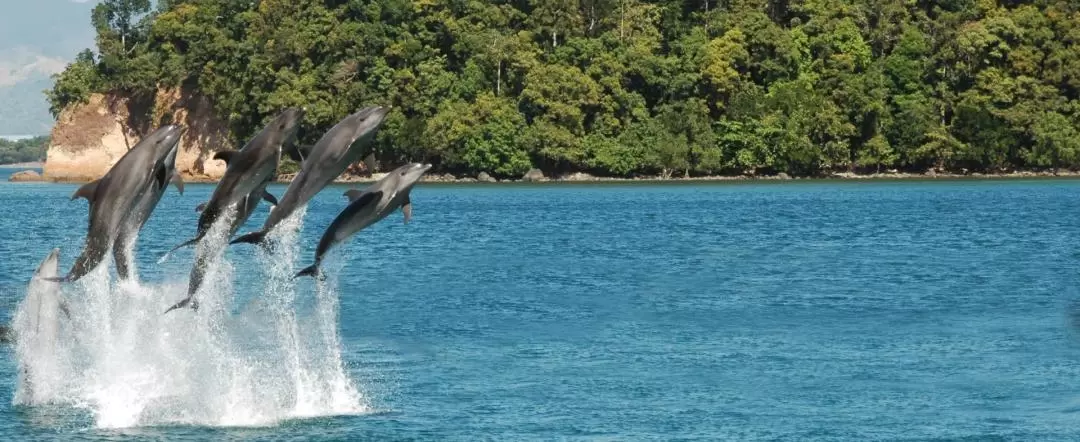 Ocean Adventure Ticket in Subic