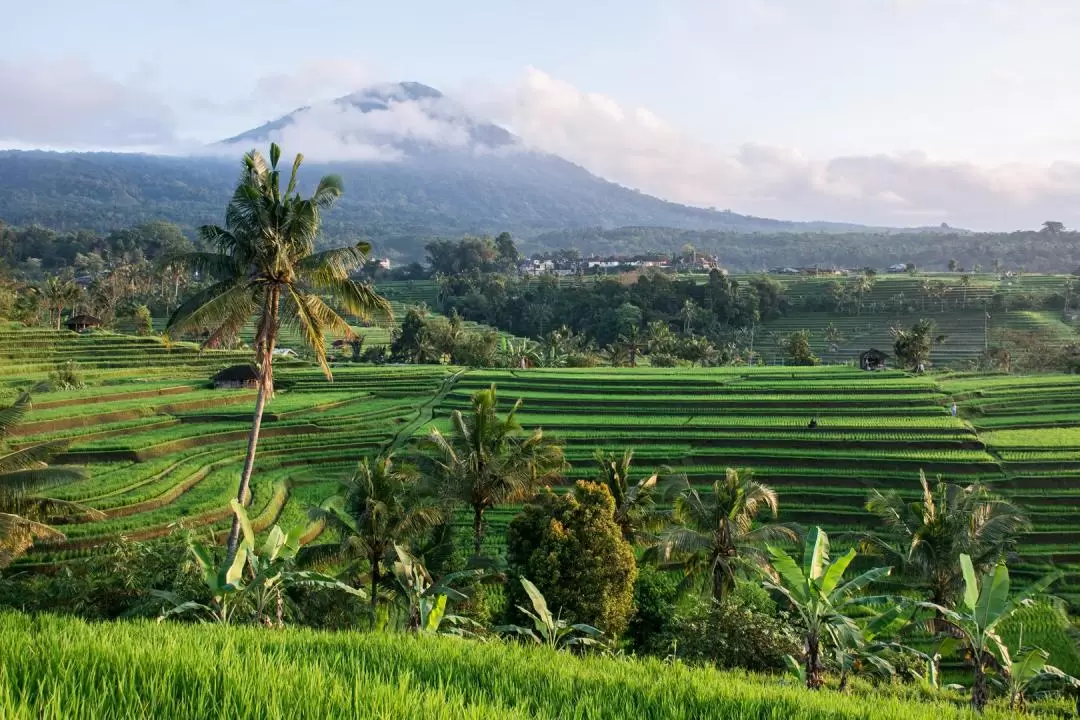 Best of Central Bali Private Trip