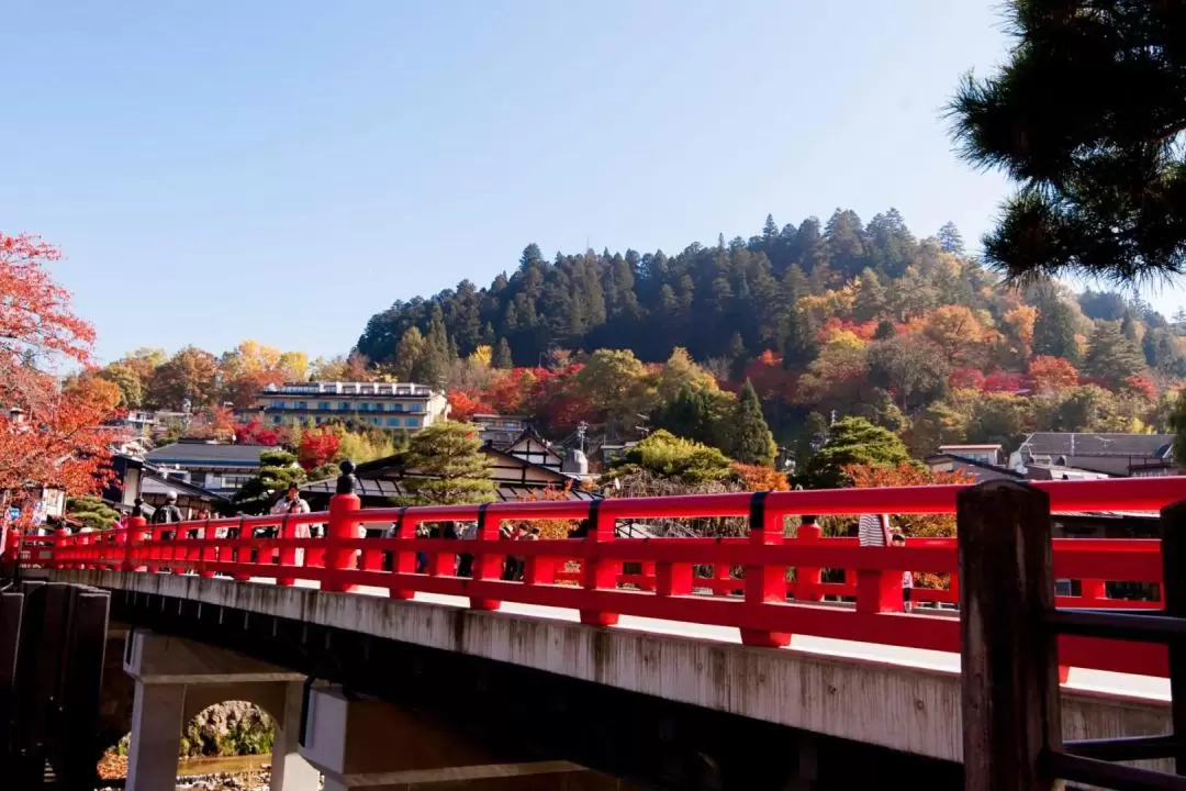 Shirakawago & Gokayama Bus Tour with One Night Stay at Takayama