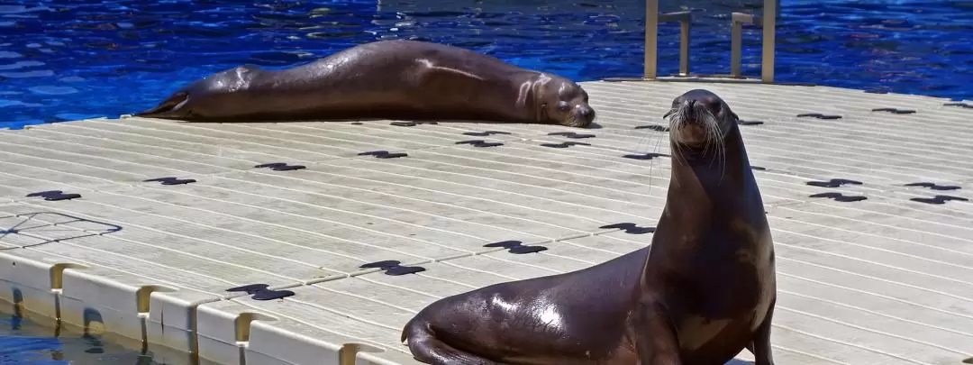 バルセロナ動物園 入園チケット