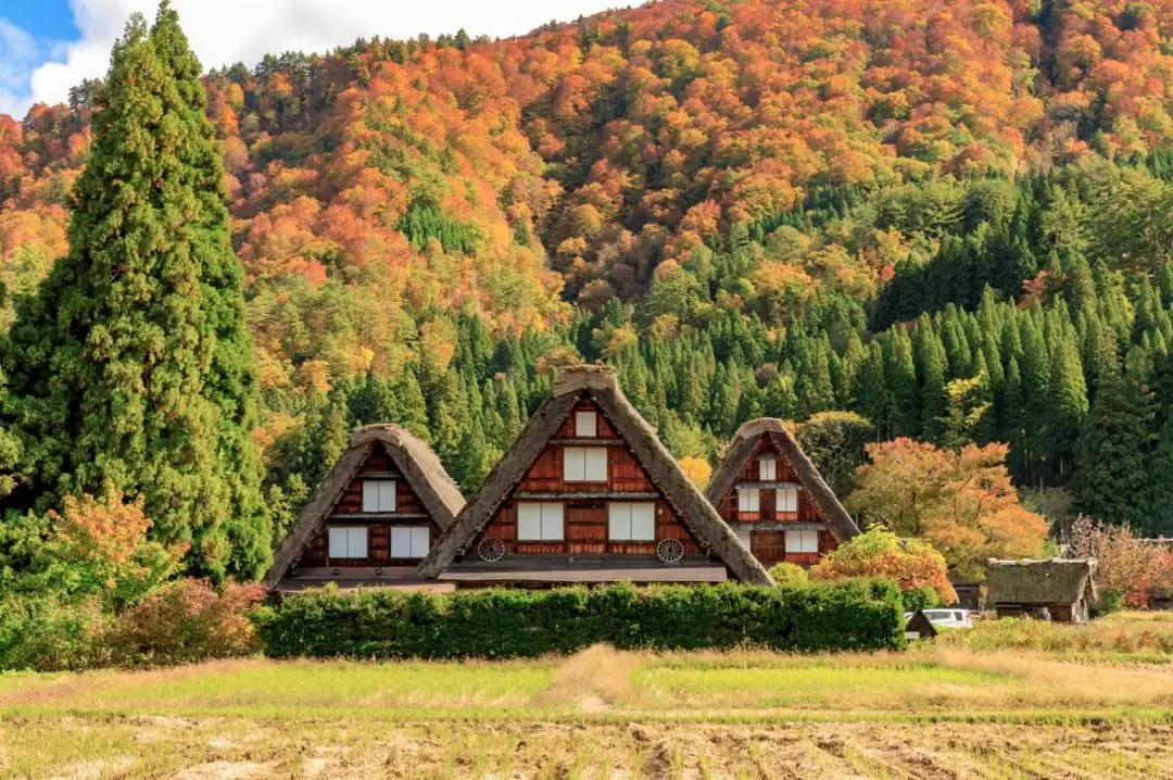 Gassho Zukuri Folk Village & Hida Takayama Day Tour from Nagoya