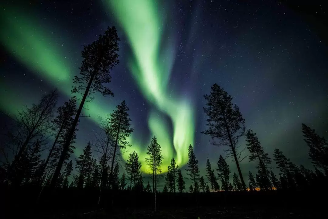 Northern Lights Photography Tour from Rovaniemi