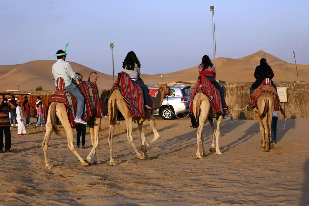 Camel Trekking Experience in Abu Dhabi
