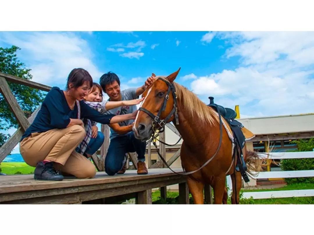 Horse Riding Experience in Kuju Mountains [Western Course]