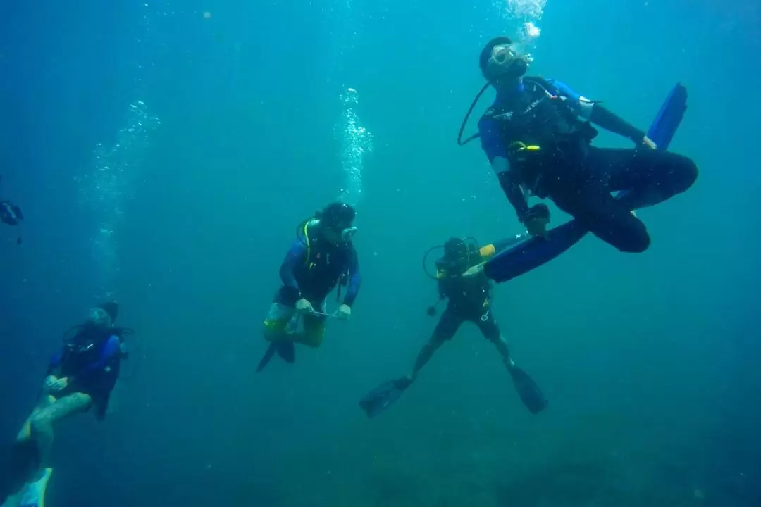 Sunset & Night Diving with BBQ Dinner in Tunku Abdul Rahman Island