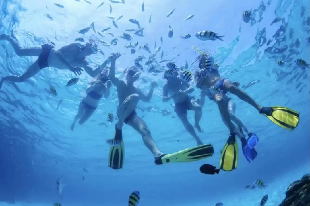 マヌカン島・マムティック島 シュノーケリング＆ウォータースポーツ体験