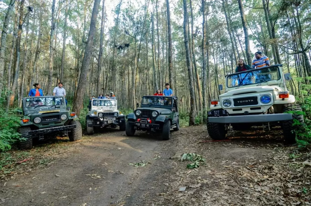 巴杜爾火山吉普車越野之旅