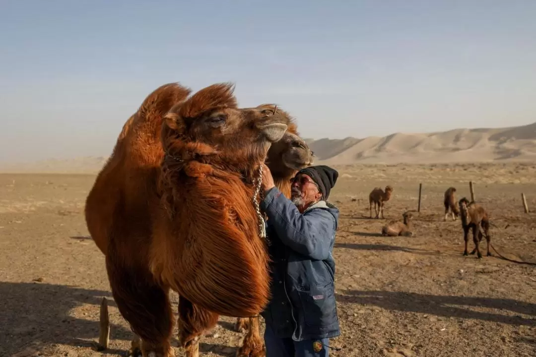 9D8N Gobi Desert Expedition in South Mongolia from Singapore