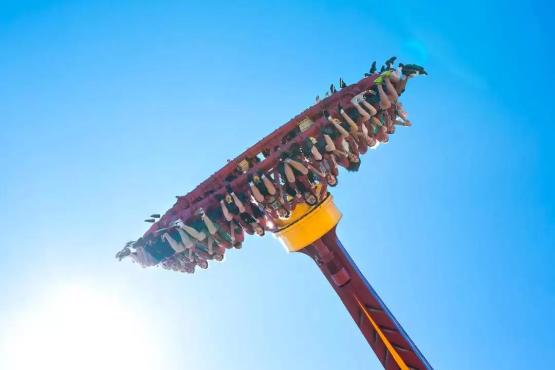 Dreamworld  Buy Tickets and Experiences