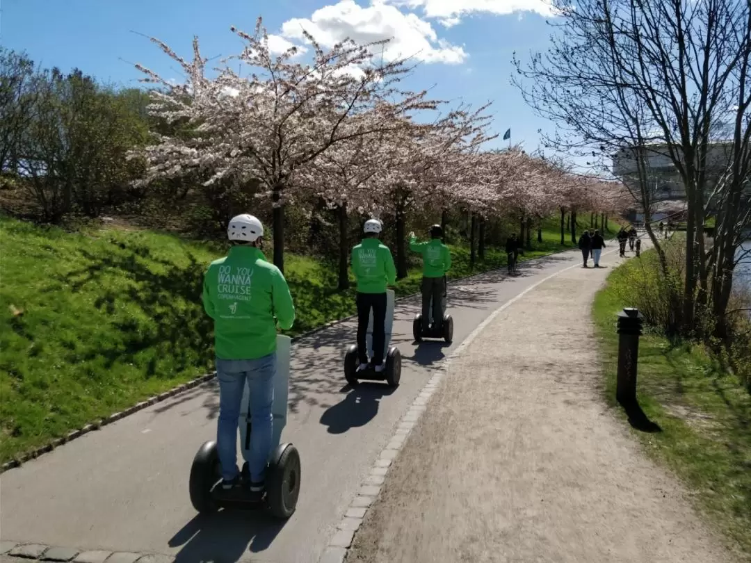 セグウェイ 半日少人数グループツアー（コペンハーゲン）